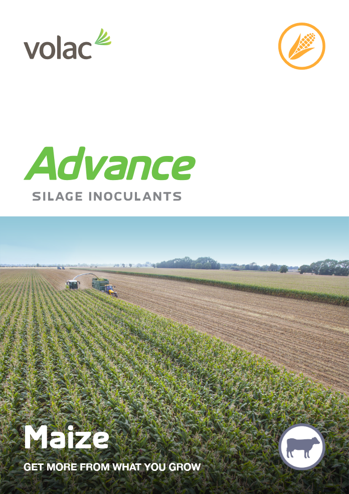 Advance maize leaflet cover