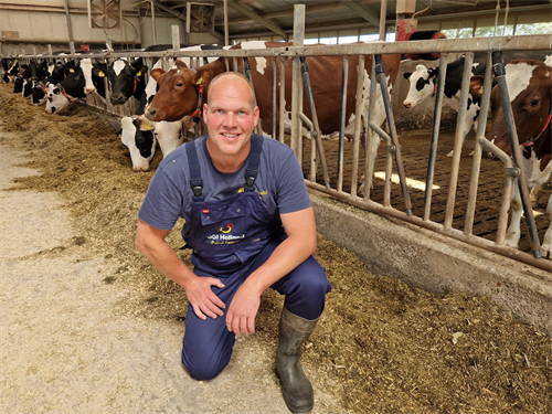 Managing the transition period successfully: protect the rumen and limit the negative energy balance