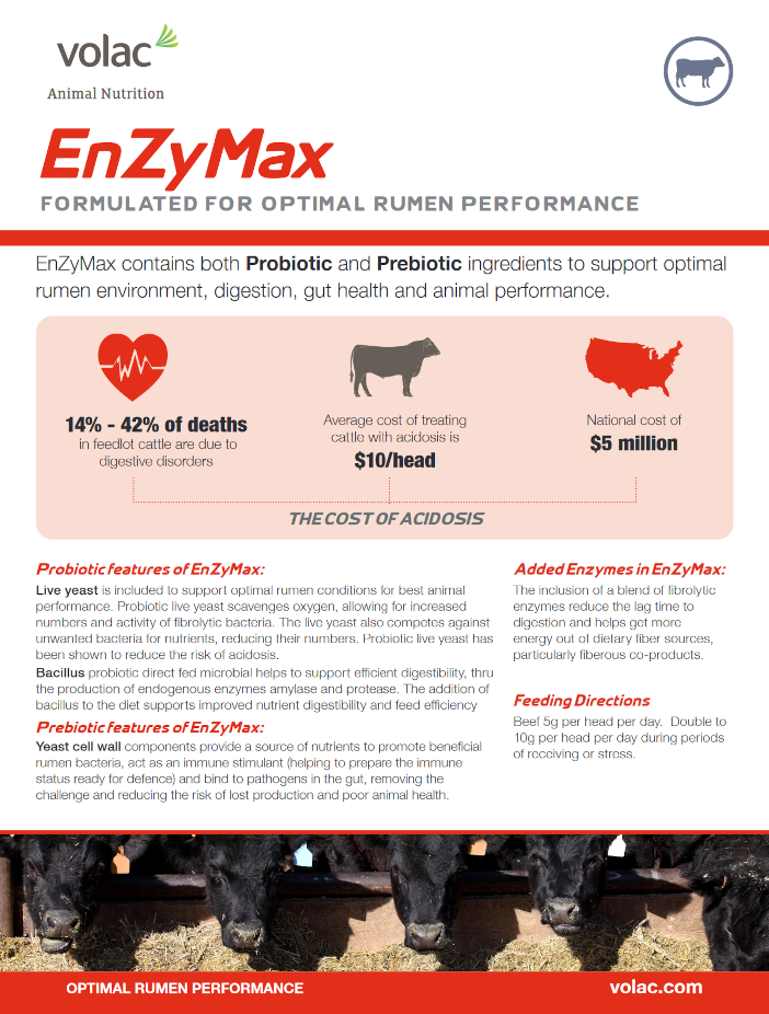 EnZyMax brochure cover