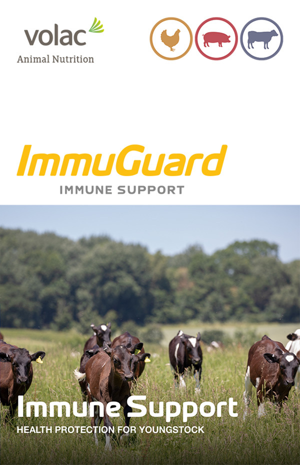 ImmuGuard brochure cover