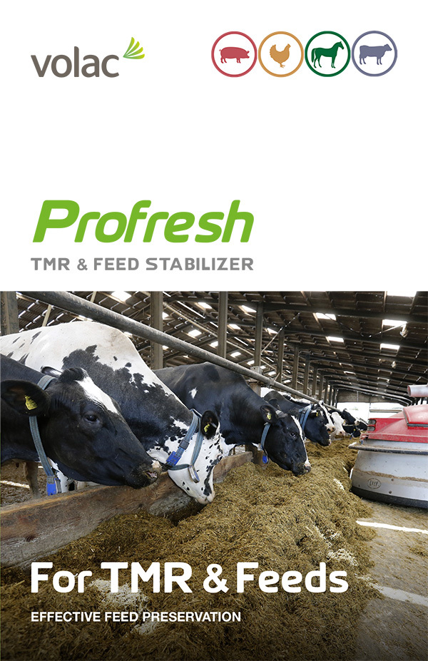 Profresh Plus leaflet cover